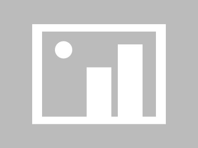 栾川县杨会勉到金源商贸开展调研活动 推动企业发展提质增效